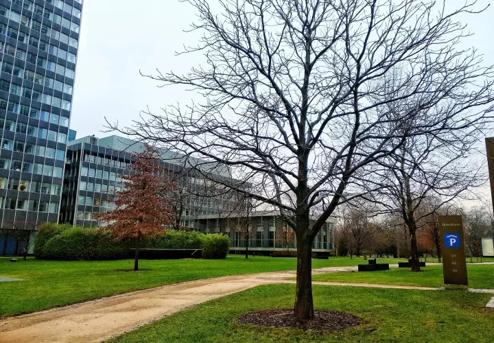 Rothschildpark