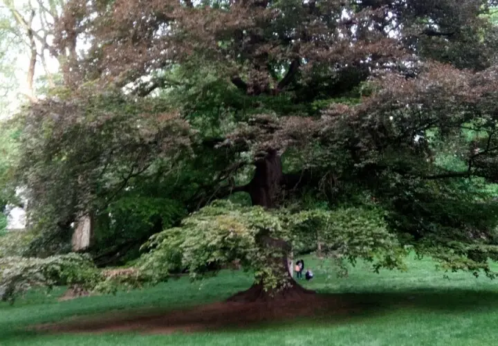 Rothschildpark