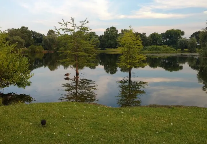 Rebstockpark