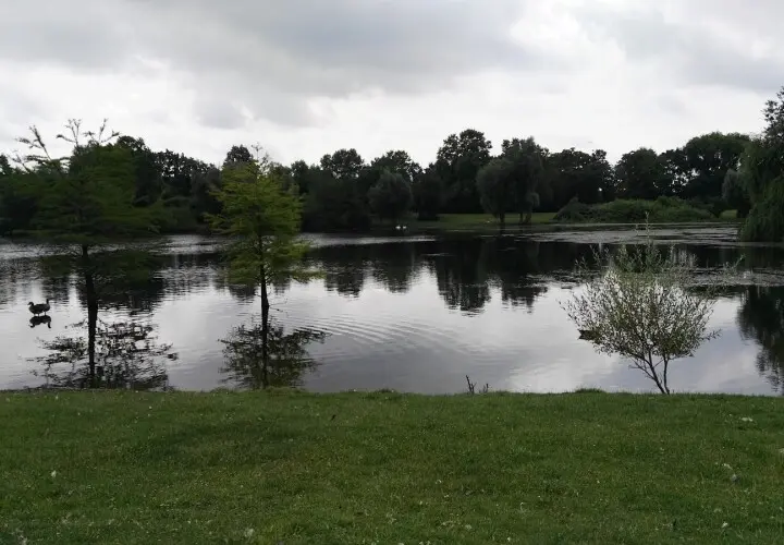 Rebstockpark