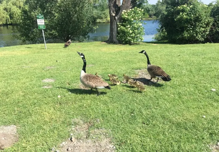 Rebstockpark