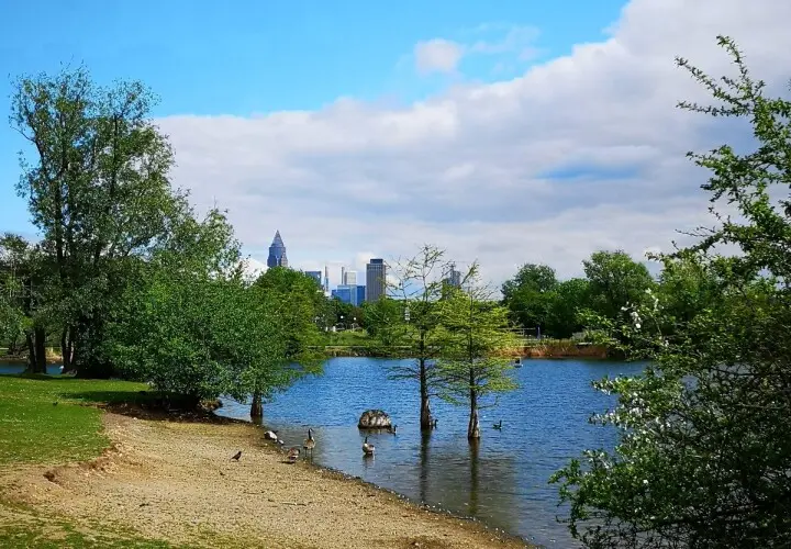 Rebstockpark