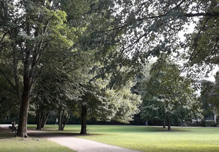 Elli-Lucht-Park