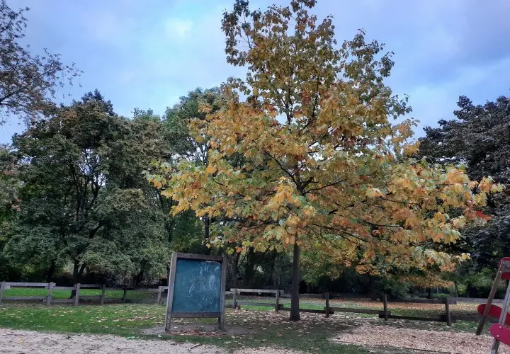 Elli-Lucht-Park