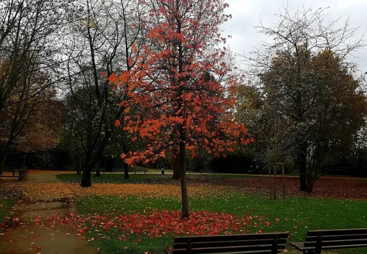 Elli-Lucht-Park
