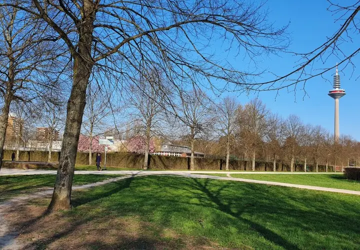 Wasserspielplatz Niddapark