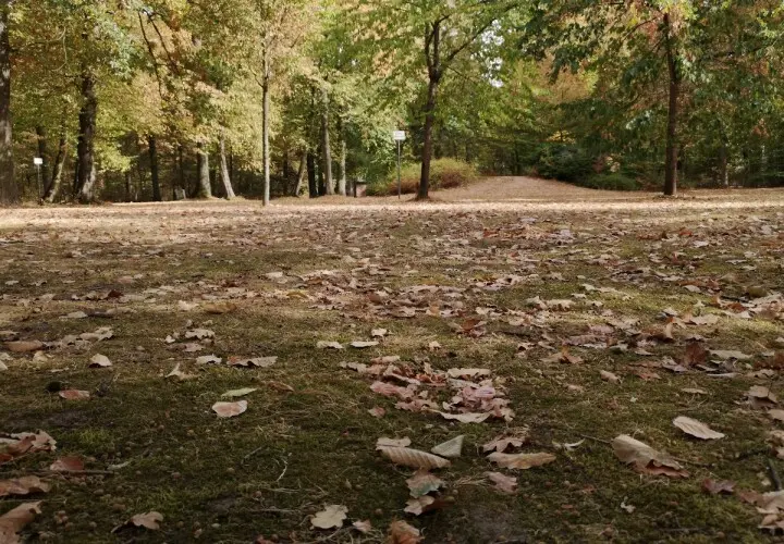 Waldspielpark Heinrich-Kraft-Park