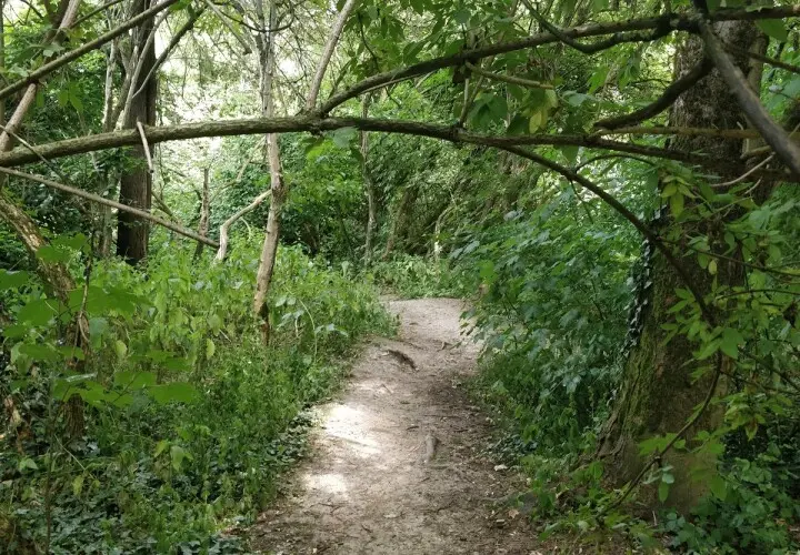 'Der Pilz'-Park