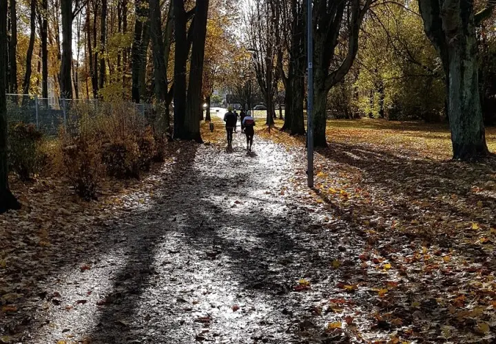 'Der Pilz'-Park