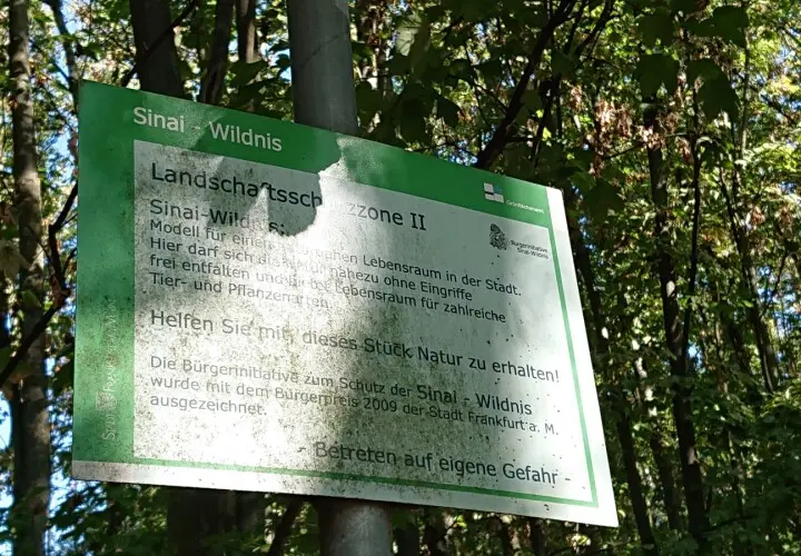 'Der Pilz'-Park