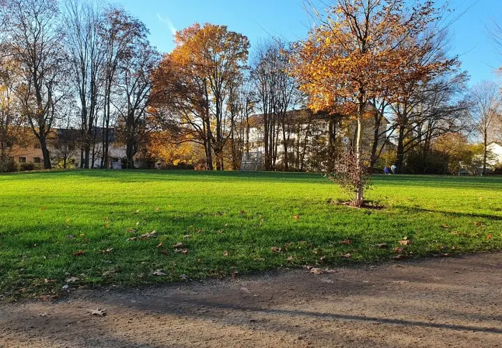 'Der Pilz'-Park