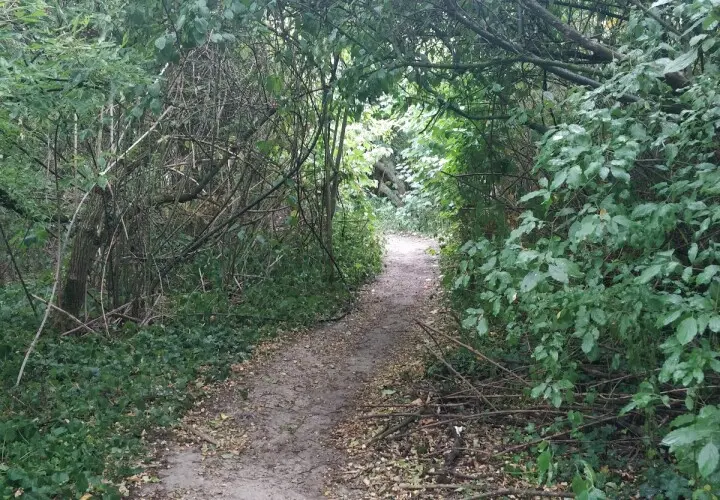 'Der Pilz'-Park