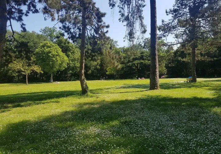 Carl-von-Weinberg-Park