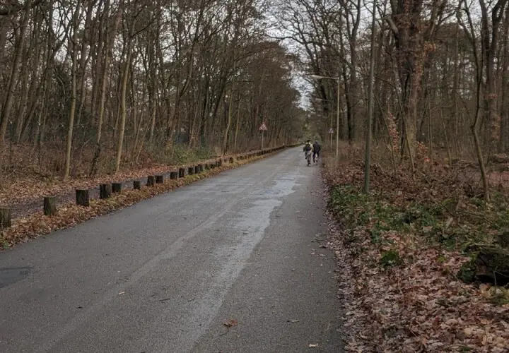 Carl-von-Weinberg-Park