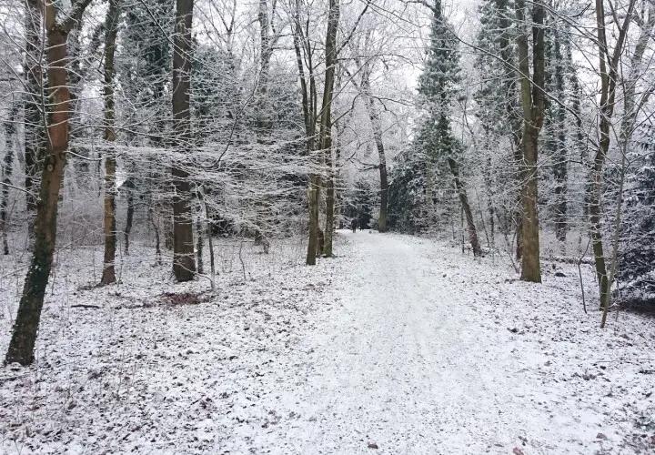 Carl-von-Weinberg-Park