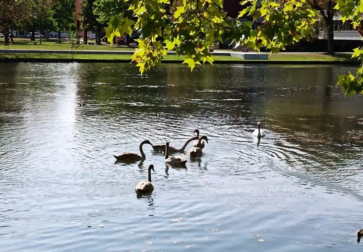 Höchster Stadtpark
