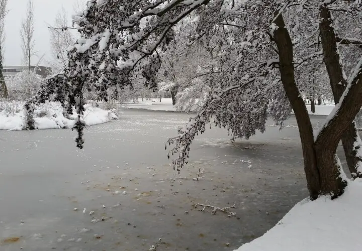 Höchster Stadtpark