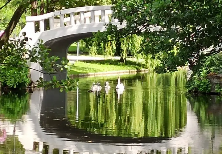 Höchster Stadtpark