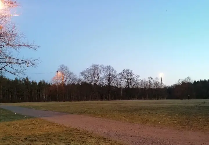 Frankfurter Stadtwald