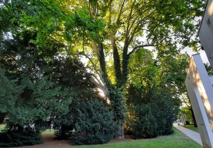 Metzlerpark