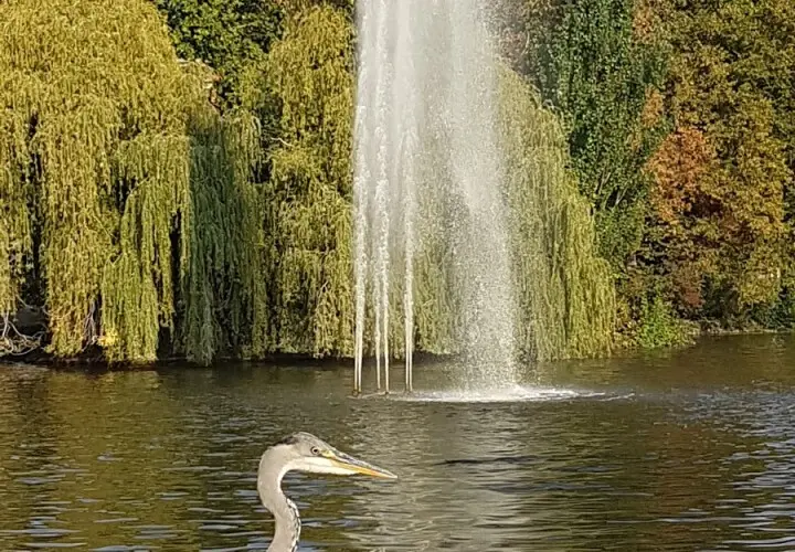 Merkur-Brunnen