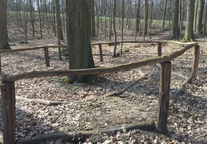 Barfußpfad Gramschatzer Wald