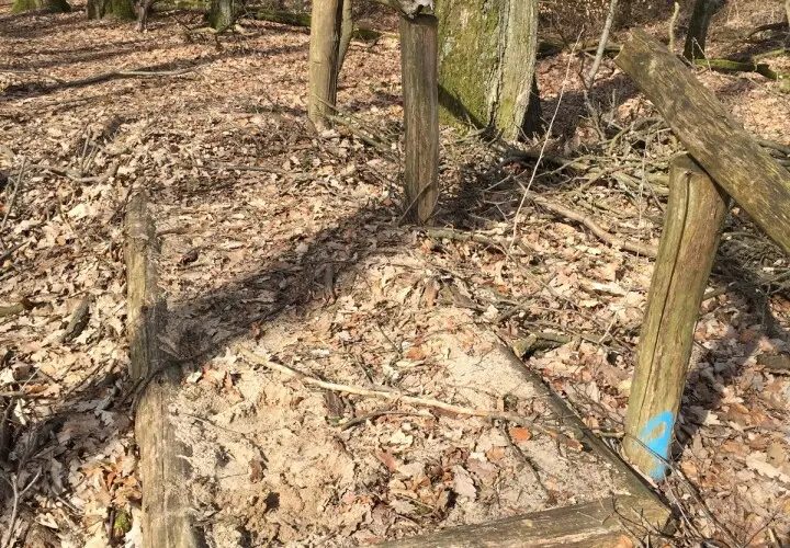 Barfußpfad Gramschatzer Wald
