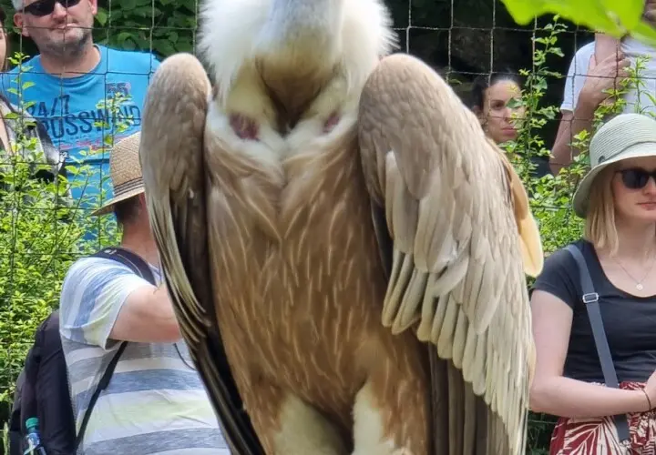 Wildpark Bad Mergentheim