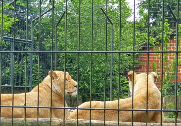 Tier- und Freizeitpark Thüle