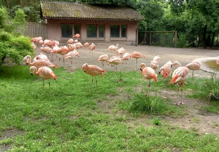 Tier- und Freizeitpark Thüle