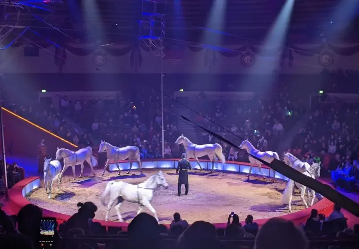 Circus Krone