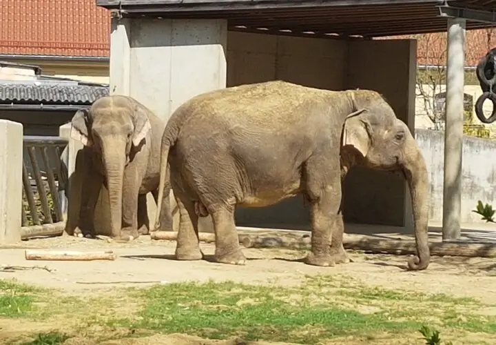 Zoo Augsburg