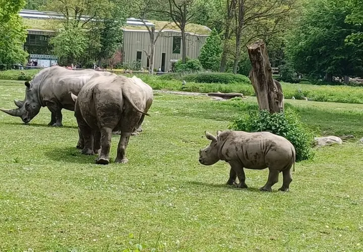 Zoo Augsburg