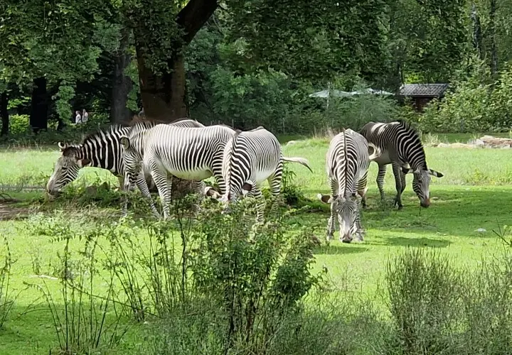 Zoo Augsburg