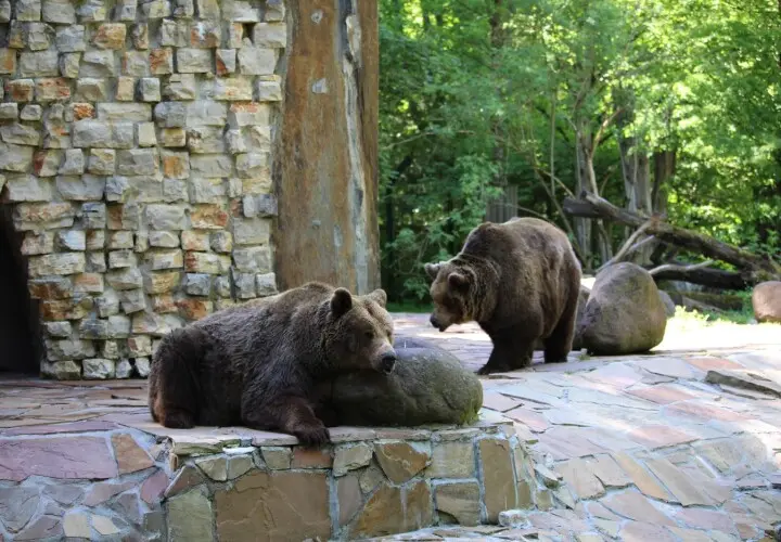 Zoo Augsburg