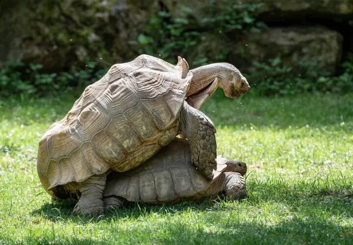 Zoo Augsburg