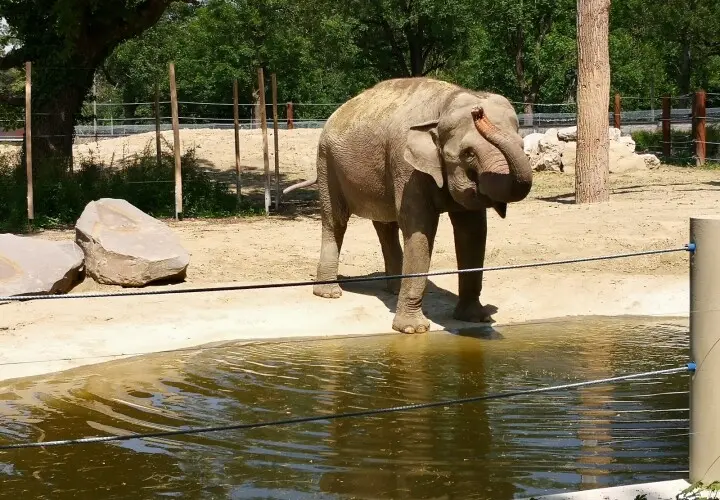 Zoo Augsburg