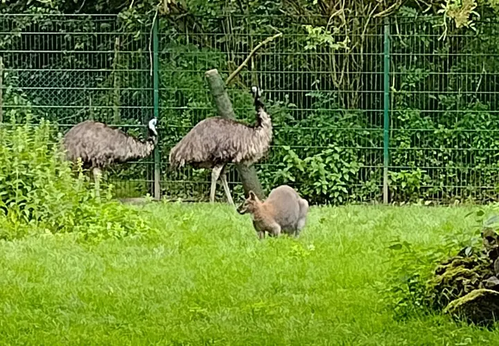 Zoo Augsburg
