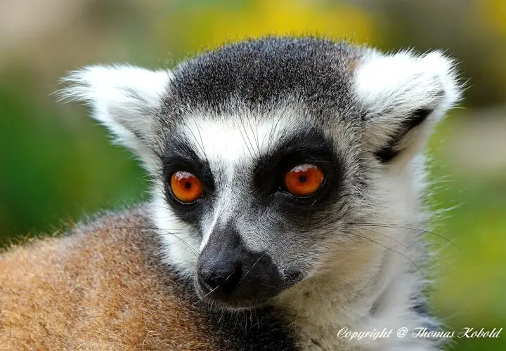 Zoo Augsburg