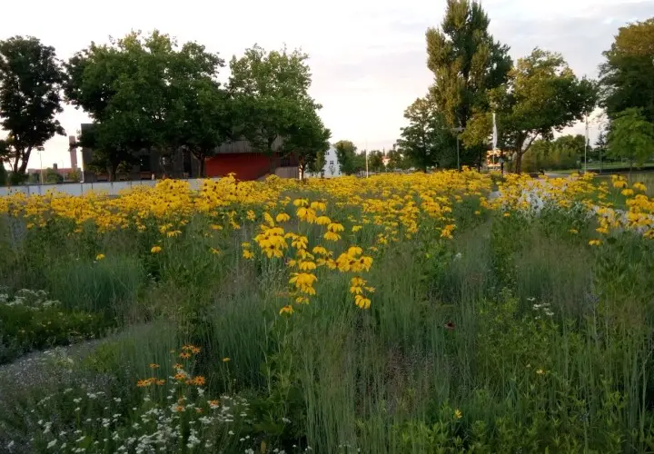 Abenteuerspielplatz Sheridanpark-Mitte