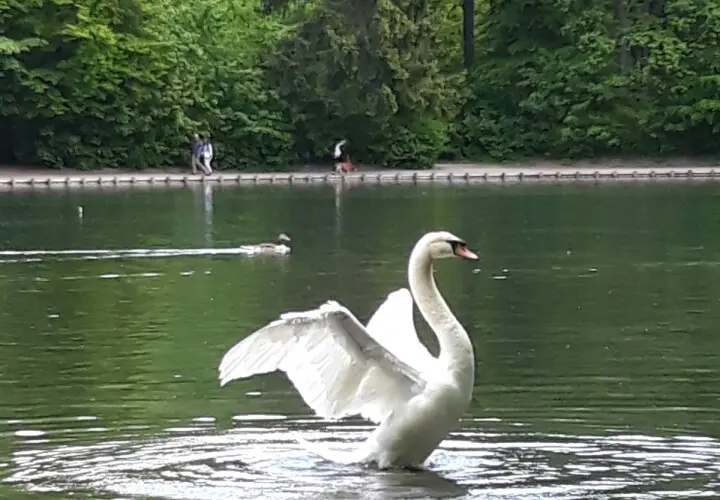 Freizeitanlage Siebentischpark Augsburg