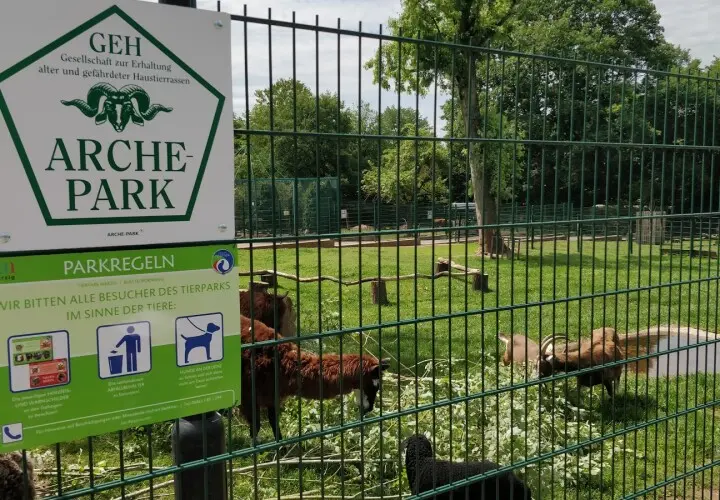 Merziger Tierpark