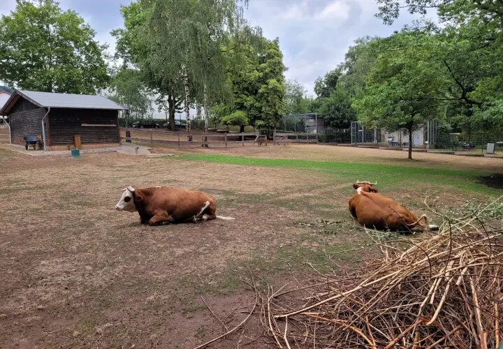 Merziger Tierpark