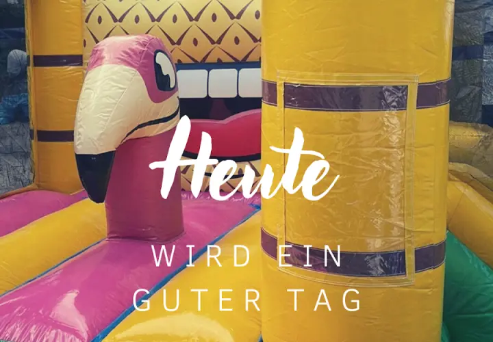 Grashüpfer Hüpfburgen