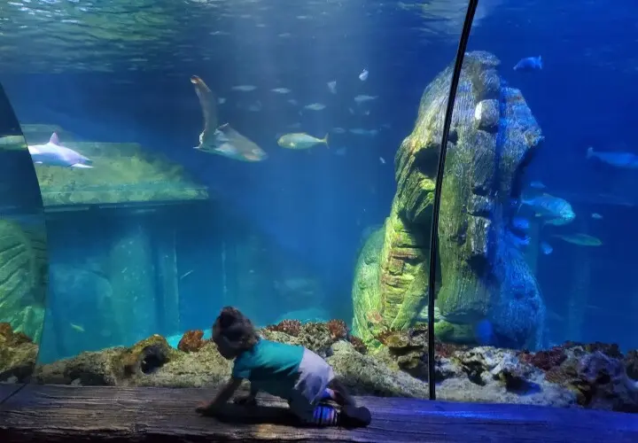 SEA LIFE München