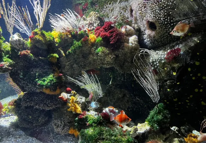 SEA LIFE München