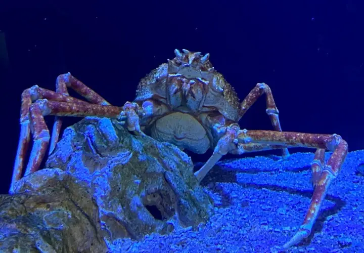 SEA LIFE München
