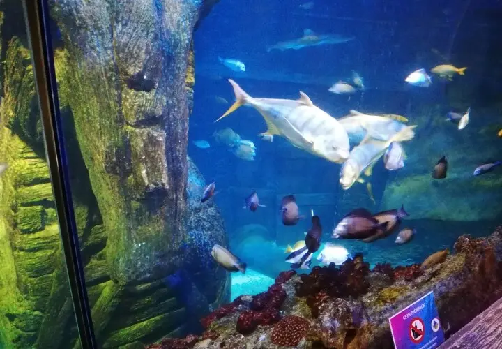 SEA LIFE München