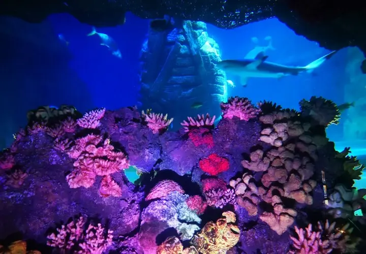 SEA LIFE München