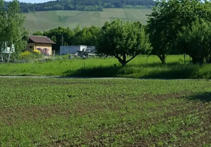 Freibad - Schwimmbad Thüngersheim